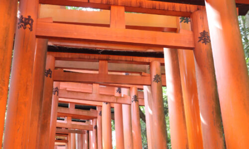 Fushimi Inari et Kyoto tower